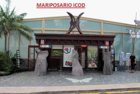 Apartamento Vistas De Icod Icod De Los Vinos Exterior foto